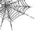 spider web