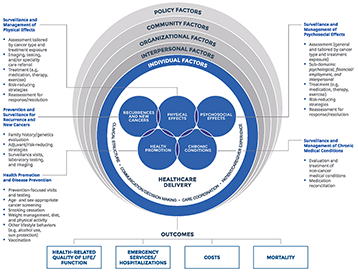 The figure below shows the framework for measuring quality of cancer survivorship care