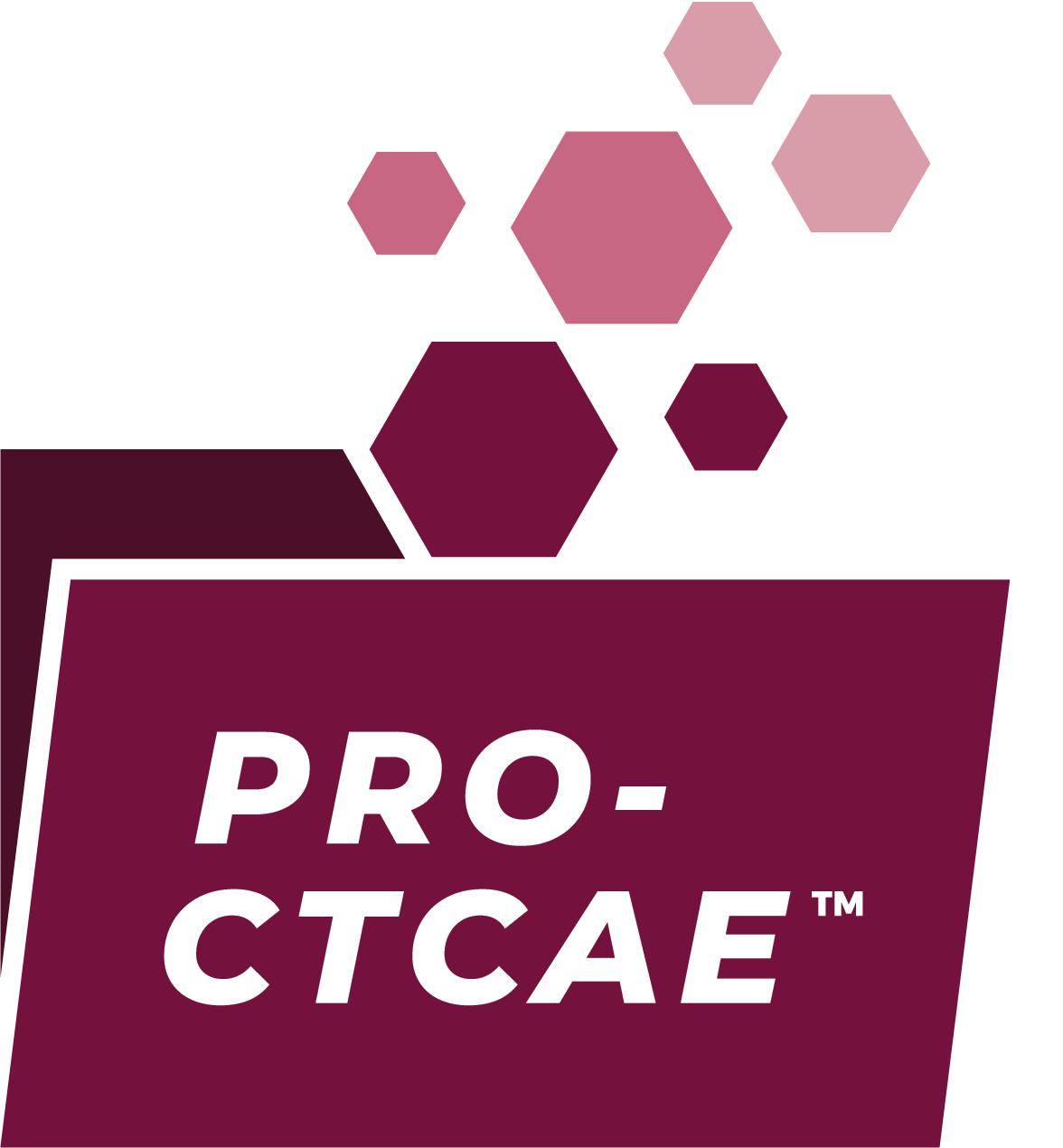 PRO-CTCAE logo