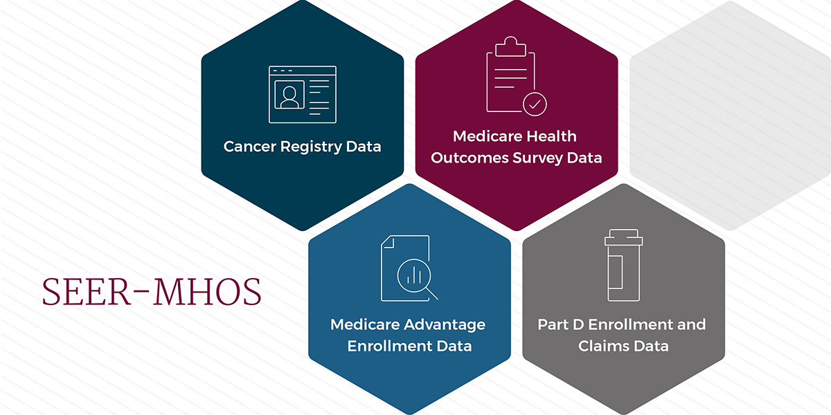 Graphic showing what is included in seer-mhos data